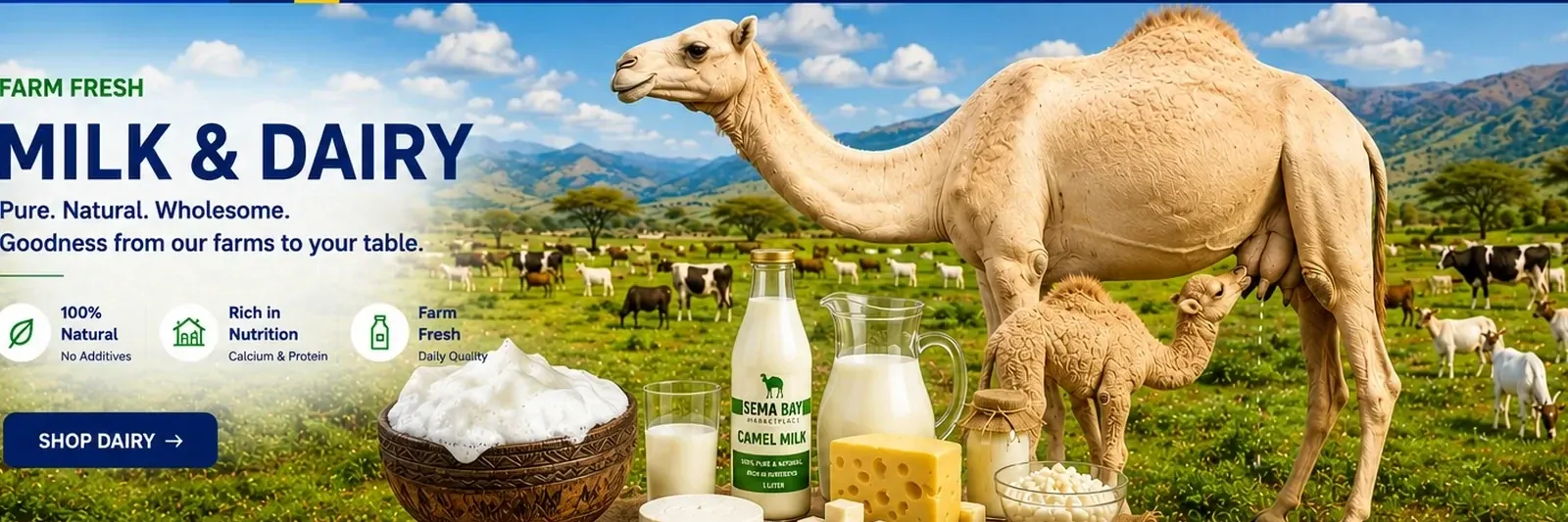 Dairy & Everyday Fresh